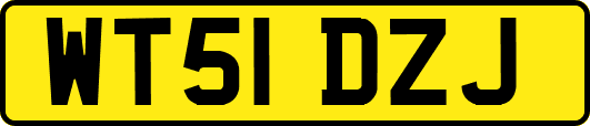 WT51DZJ