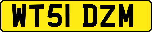 WT51DZM