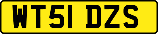WT51DZS