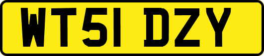 WT51DZY