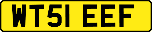 WT51EEF