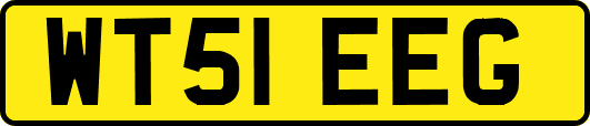 WT51EEG