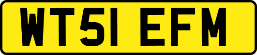 WT51EFM