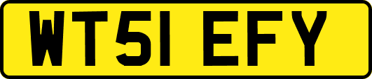 WT51EFY