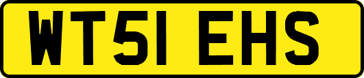 WT51EHS