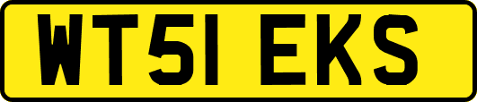 WT51EKS