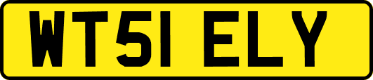 WT51ELY