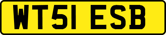 WT51ESB