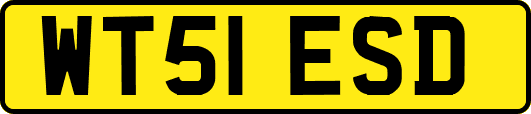 WT51ESD