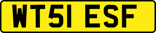 WT51ESF