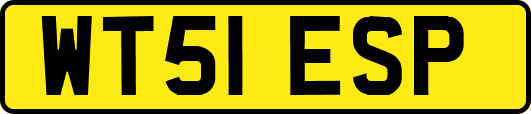 WT51ESP