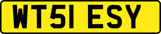 WT51ESY