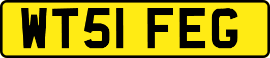 WT51FEG