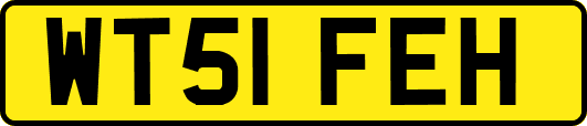 WT51FEH