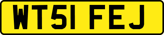WT51FEJ