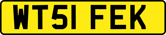 WT51FEK