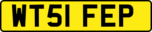 WT51FEP