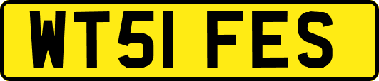 WT51FES