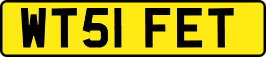 WT51FET