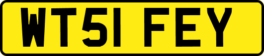 WT51FEY