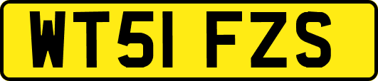WT51FZS