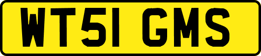 WT51GMS
