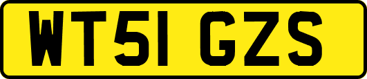 WT51GZS