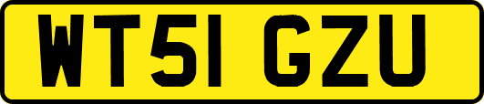 WT51GZU