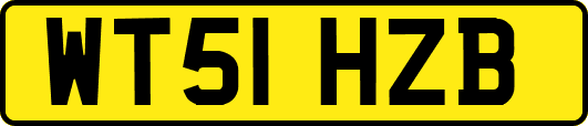 WT51HZB