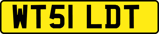 WT51LDT