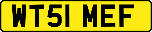 WT51MEF