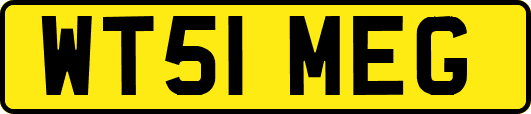 WT51MEG