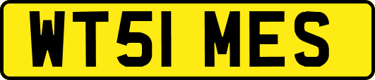 WT51MES