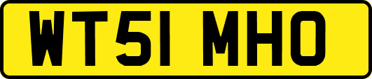 WT51MHO