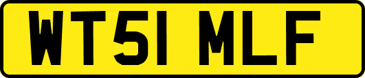 WT51MLF