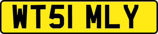 WT51MLY