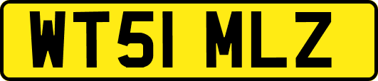 WT51MLZ