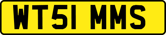 WT51MMS