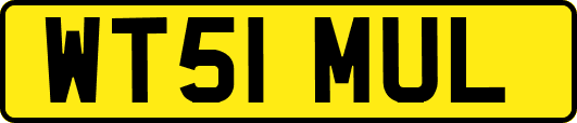 WT51MUL