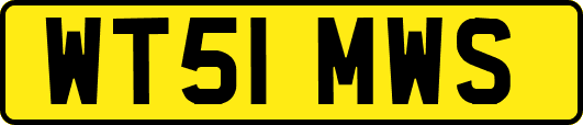 WT51MWS