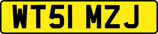WT51MZJ