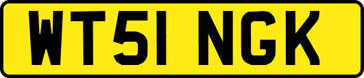 WT51NGK