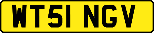 WT51NGV