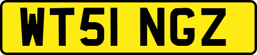 WT51NGZ