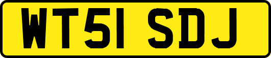 WT51SDJ