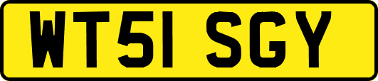 WT51SGY