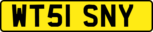 WT51SNY