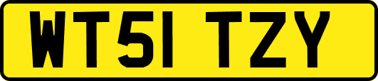 WT51TZY