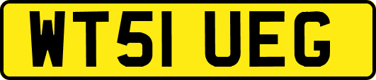 WT51UEG