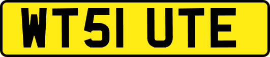 WT51UTE